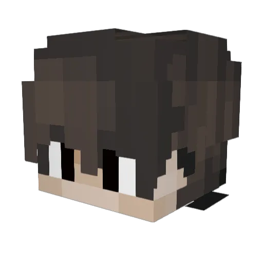 SmuG_knight_JR Minecraft avatar head, 3D render