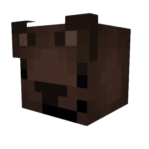 SmugWombat Minecraft avatar head, 3D render
