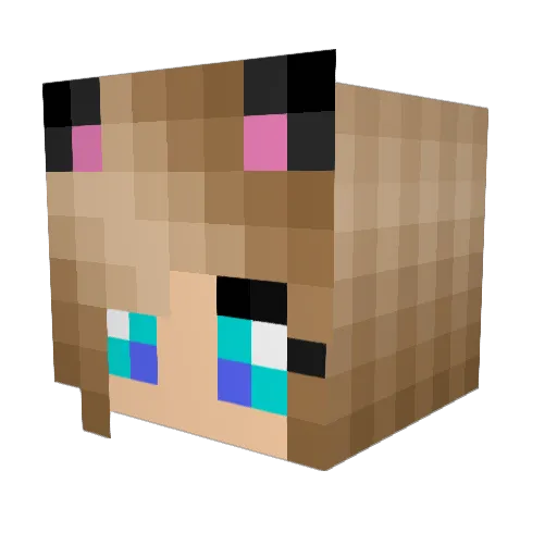 Smug_Ninja Minecraft avatar head, 3D render