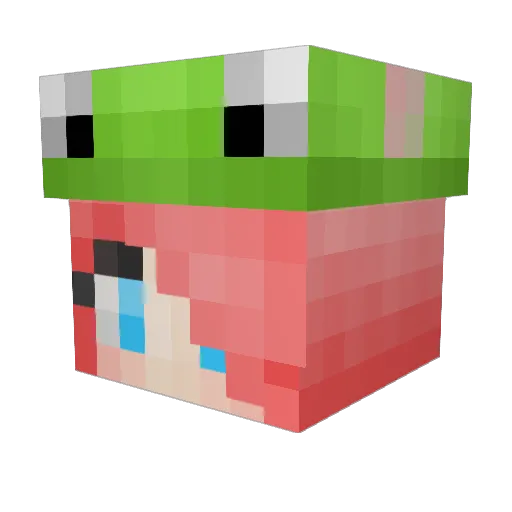 Smutje123 Minecraft avatar head, 3D render
