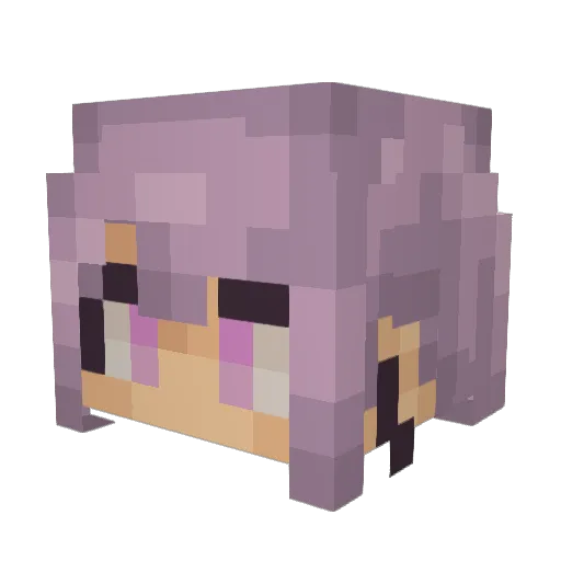 Sn00tchy Minecraft avatar head, 3D render
