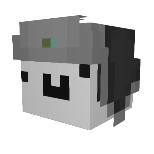 Sn0Lex Minecraft avatar head, 3D render