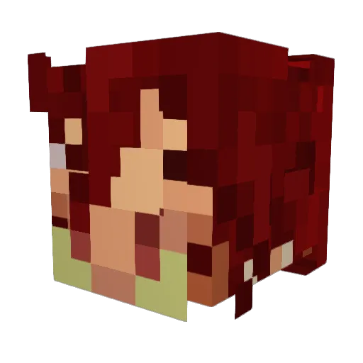 Sn0wSt0rm1011 Minecraft avatar head, 3D render