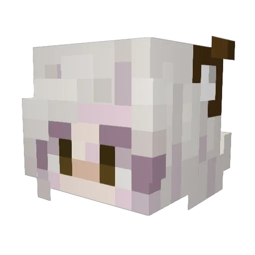 Sn0wWhiite Minecraft avatar head, 3D render