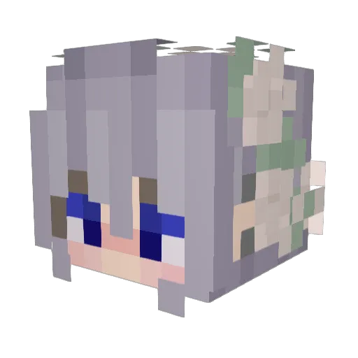 Sn0wball841 Minecraft avatar head, 3D render