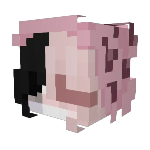 Sn0wflakes Minecraft avatar head, 3D render