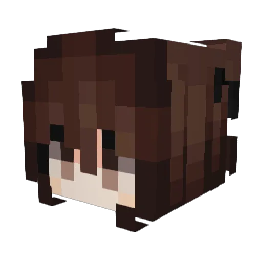 Sn0wstorm_ Minecraft avatar head, 3D render