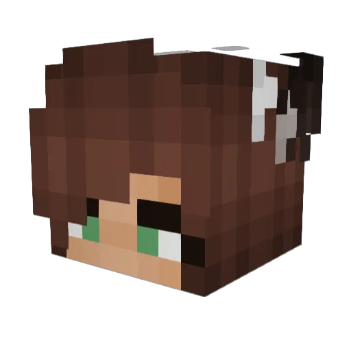 Sn0wwyy_exe Minecraft avatar head, 3D render