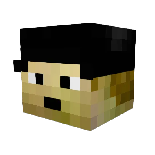 Sn0wy808 Minecraft avatar head, 3D render
