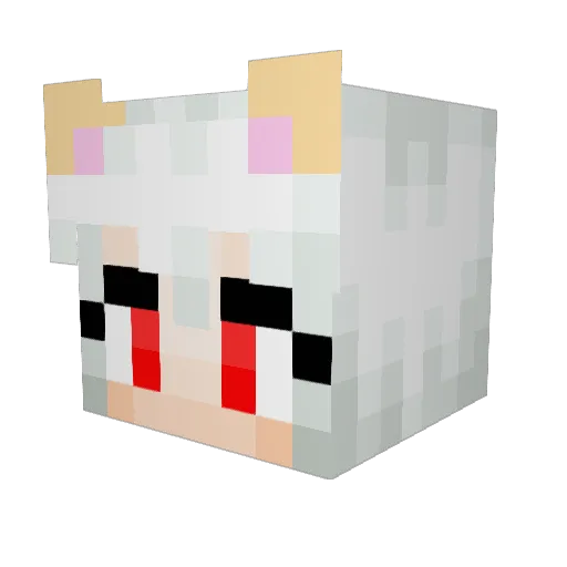 Sn3akyK1d Minecraft avatar head, 3D render