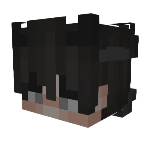 Sn4cki Minecraft avatar head, 3D render