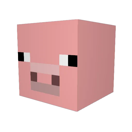 Sn4ke87 Minecraft avatar head, 3D render