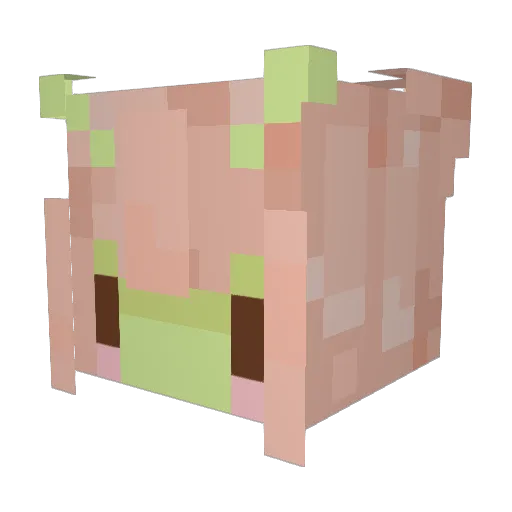 Sn8ke_ Minecraft avatar head, 3D render