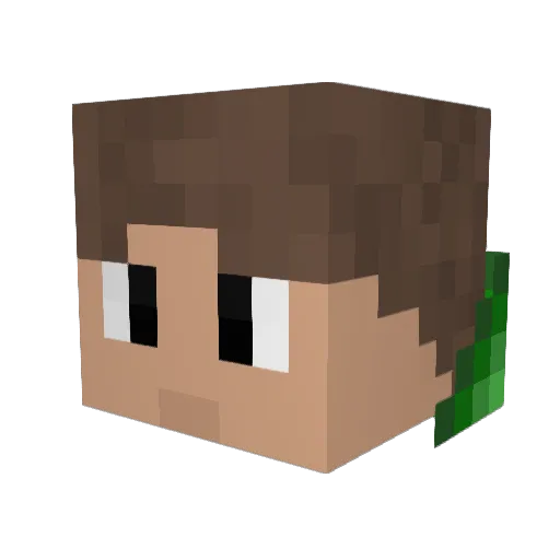 SnIpEnRo Minecraft avatar head, 3D render