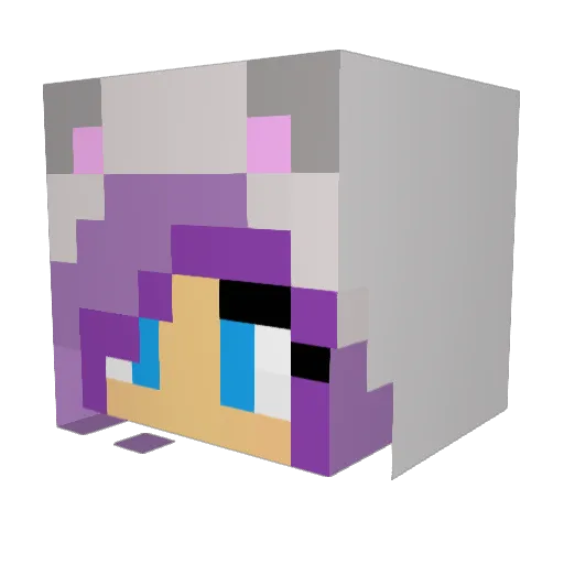 SnM3 Minecraft avatar head, 3D render