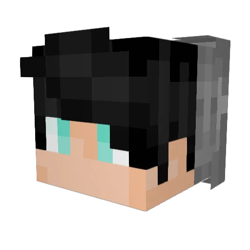 SnOopDaWgg420 Minecraft avatar head, 3D render