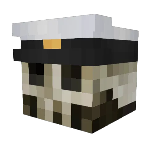 SnOuFi9 Minecraft avatar head, 3D render