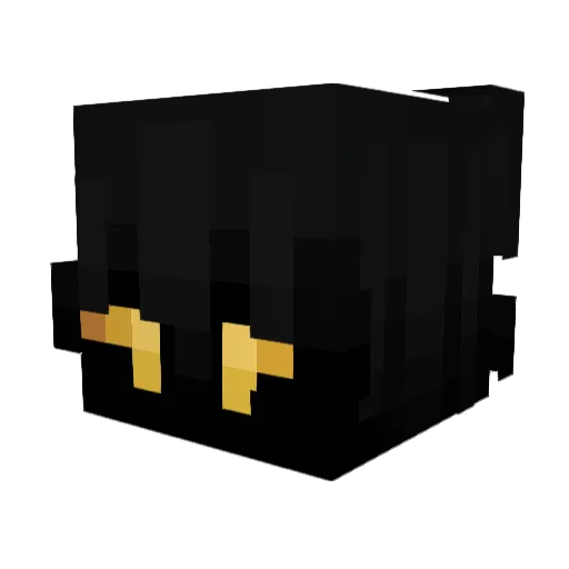 Sn_Master24 Minecraft avatar head, 3D render