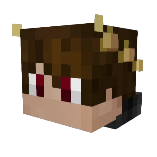 Sn_w Minecraft avatar head, 3D render