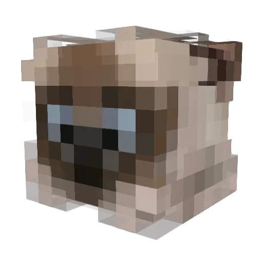 Snackcat Minecraft avatar head, 3D render