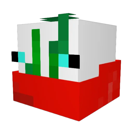 Snackeo Minecraft avatar head, 3D render