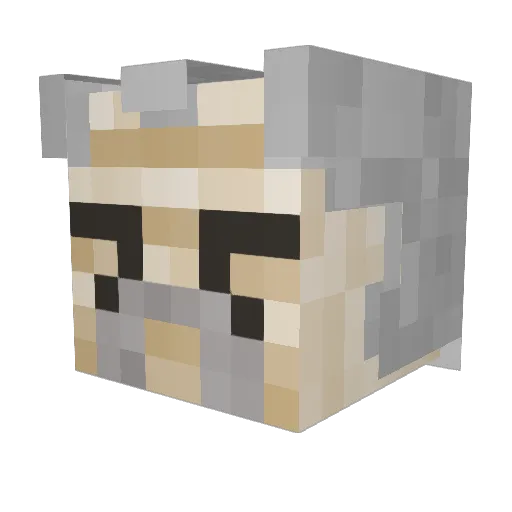 Snackoman Minecraft avatar head, 3D render