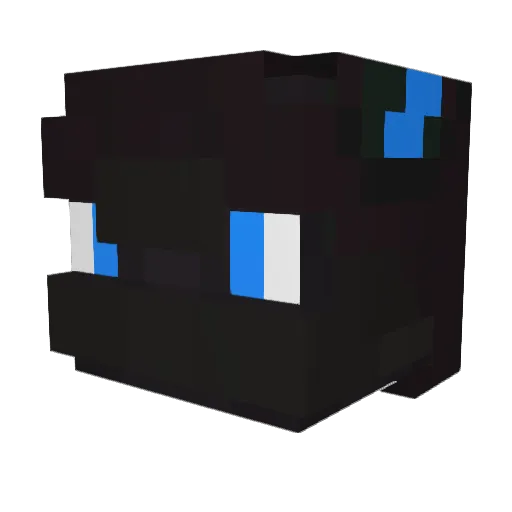 Snacktox Minecraft avatar head, 3D render