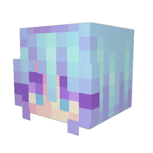 Snacktz Minecraft avatar head, 3D render