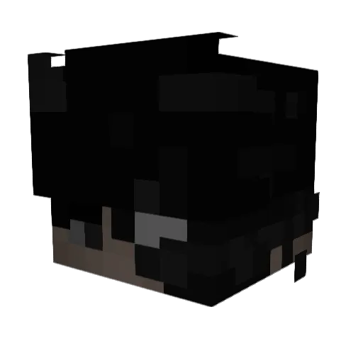 Snackzah Minecraft avatar head, 3D render