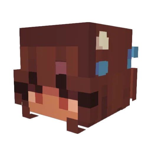 Snafew_ Minecraft avatar head, 3D render