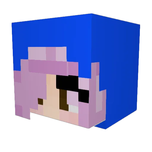 SnaggyKoala Minecraft avatar head, 3D render