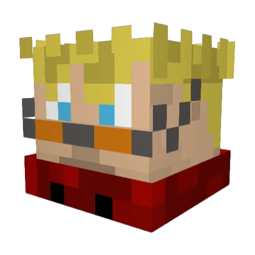 Snail19 Minecraft avatar head, 3D render