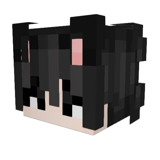 SnailLD14 Minecraft avatar head, 3D render