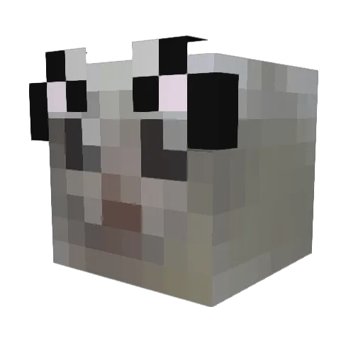 SnailPuncher Minecraft avatar head, 3D render