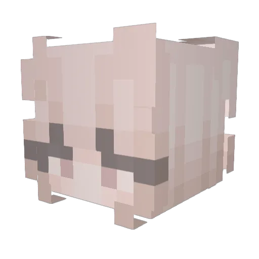 Snail_Goddess Minecraft avatar head, 3D render