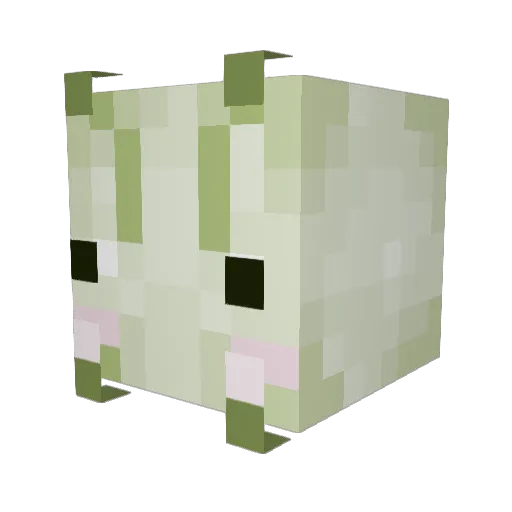Snailey11 Minecraft avatar head, 3D render