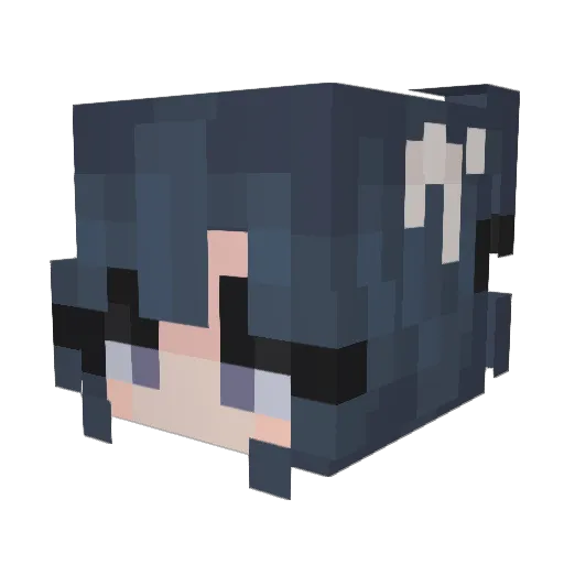 Snailey2933 Minecraft avatar head, 3D render