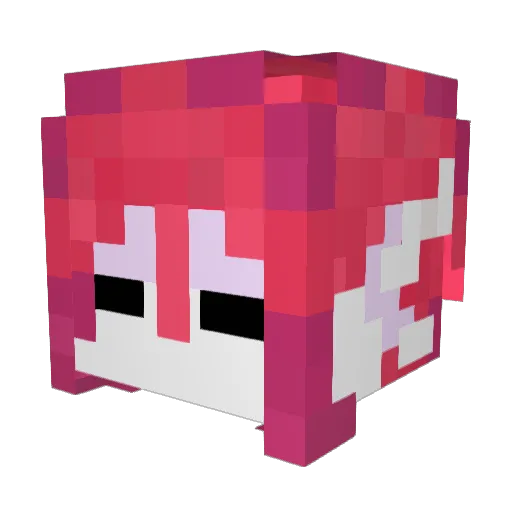SnaillMan Minecraft avatar head, 3D render