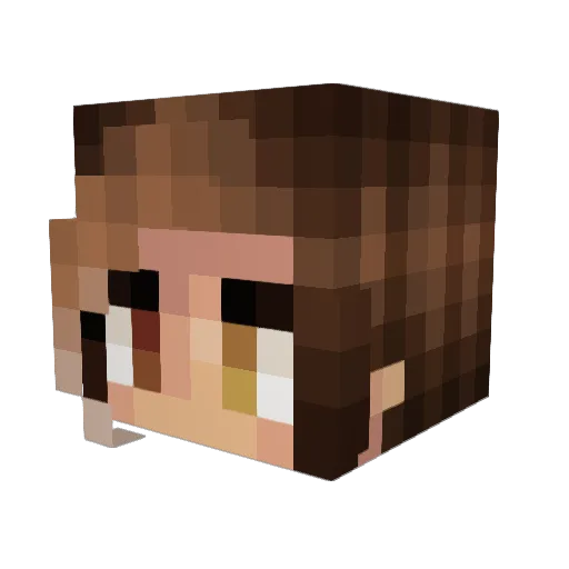 Snailpaste Minecraft avatar head, 3D render