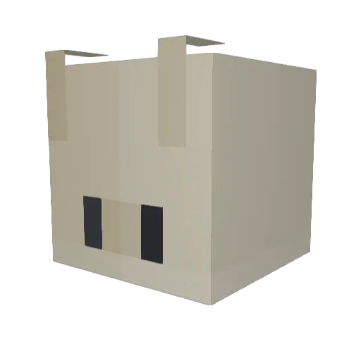 SnailsVille Minecraft avatar head, 3D render