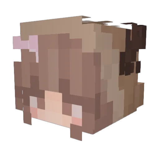 Snailzz1704 Minecraft avatar head, 3D render