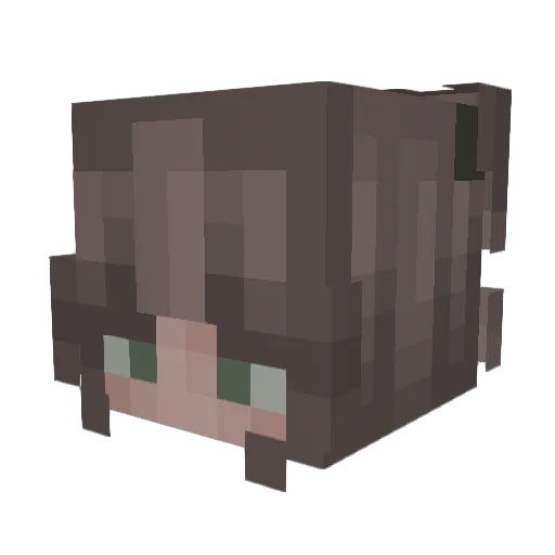 Snaithki21 Minecraft avatar head, 3D render