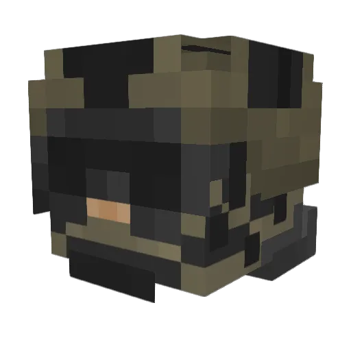 Snak3sight Minecraft avatar head, 3D render