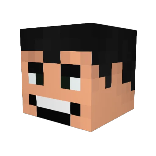 Snake11Snake11 Minecraft avatar head, 3D render