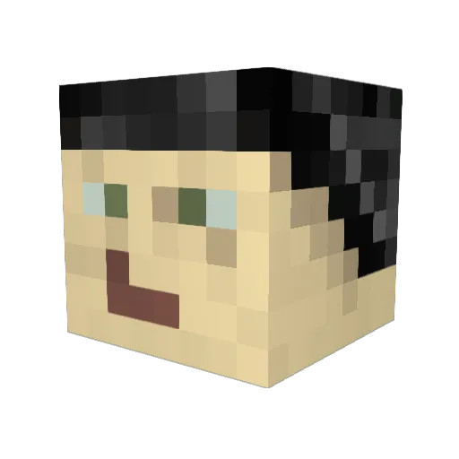 SnakeDoctor_0001 Minecraft avatar head, 3D render