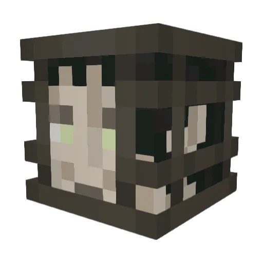 SnakeEater776 Minecraft avatar head, 3D render