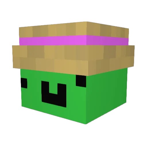 Snakeboy9 Minecraft avatar head, 3D render