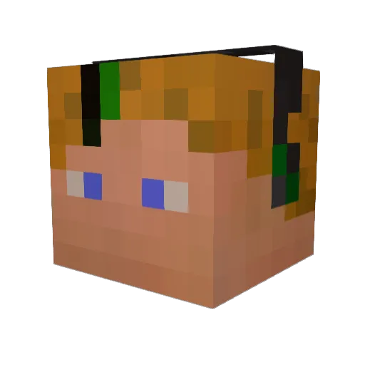 Snakefishin Minecraft avatar head, 3D render