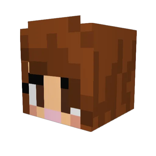 Snakelock1 Minecraft avatar head, 3D render