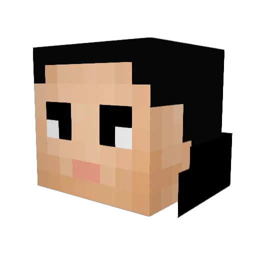 Snaker3510 Minecraft avatar head, 3D render